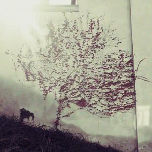 Kalt im Sommer (feat. Teresa Bergman)