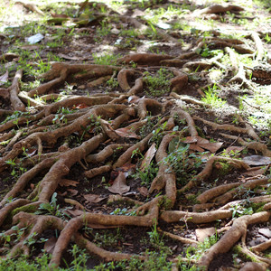 Pic du Montcalm - Ouverture