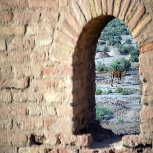 Man Ke Azat Nemigzaram