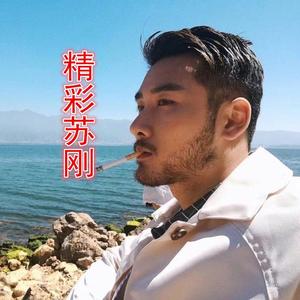 逝年（弹鼓版）