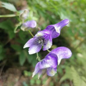 walking on water (feat. Carl Hayden)