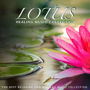 In the Light of Bansuri, Pt. 2