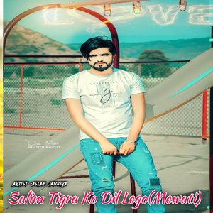 Salim Tigra Ko Dil Lego(Mewati)