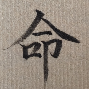 命