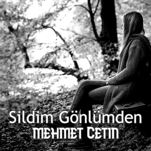 Sildim Gönlümden