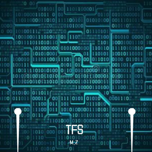 【Free】TFS（The Future Space）