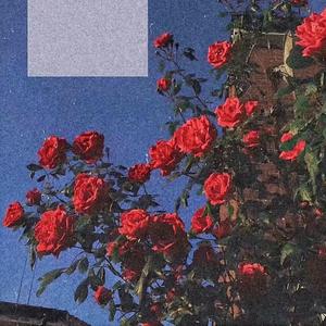 灼（Cover 银临）