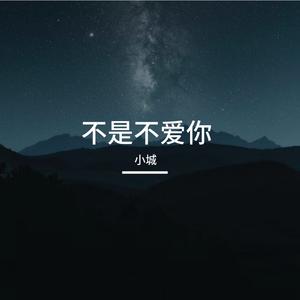不是不爱你