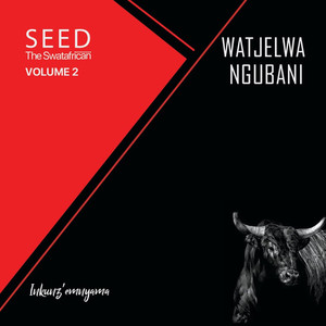Watjelwa Ngubani, Vol. 2