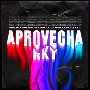 Aprovecha (Turreo Edit) (Remix)