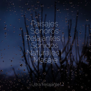 Relájate Por Dentro