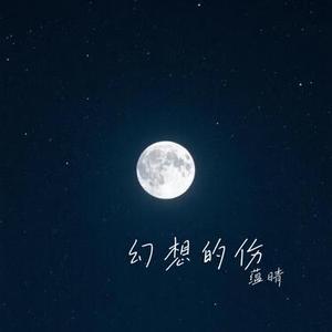 幻想的伤