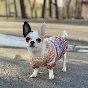 музыка