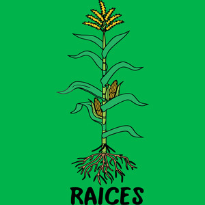 Raices
