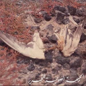 Notes: stones (in solidarity) [Part 2] (feat. Mark Trecka & Bana Haffar)