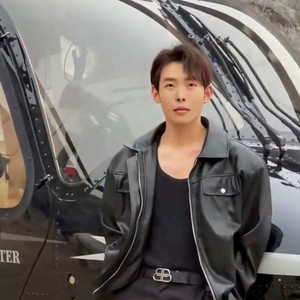 军中绿花(扬琴版)