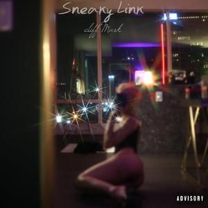 Sneaky Link