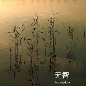 无智