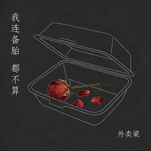 我连备胎都不算