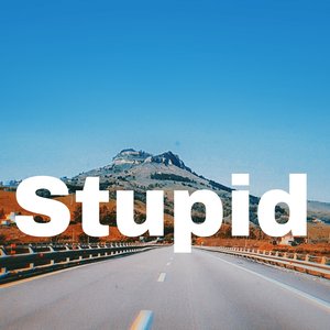 Stupidity