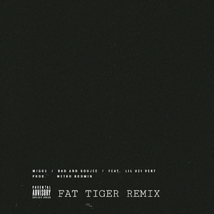 Migos - Bad and Boujee（FAT TIGER remix）