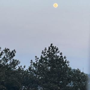 乌鸦demo（Prod EVO MUSIC）