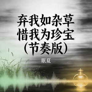 弃我如杂草 惜我为珍宝（节奏版）