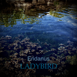 아무도 모를 거야