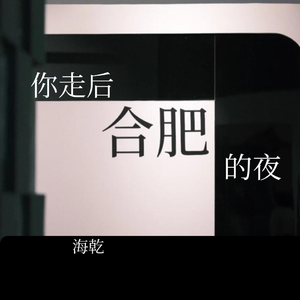 你走后合肥的夜晚