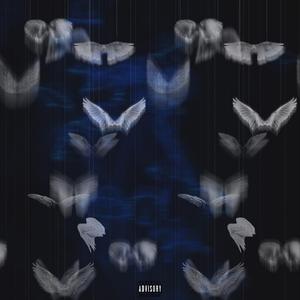 06.09