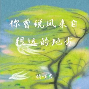 你曾说风来自很远的地方