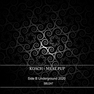 Moking Bird (Original Mix)