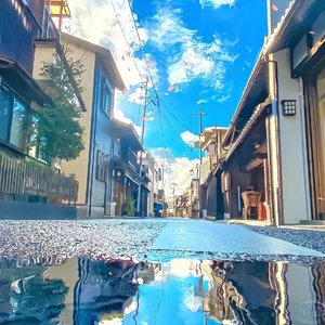 妥协(爱到妥协)