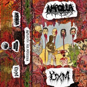 CEREBRAL DISSARANGEMENT