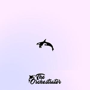The Orca Whale