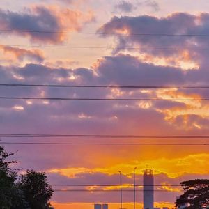 无心斗艳（片段）