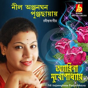 Nil Anjanoghano Punjochhayay