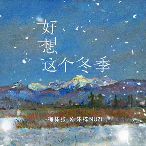 好想这个冬季