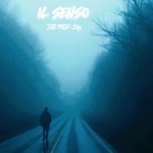 IL SENSO (feat. Shy)