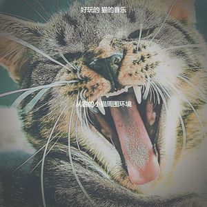 有趣放松的猫情怀