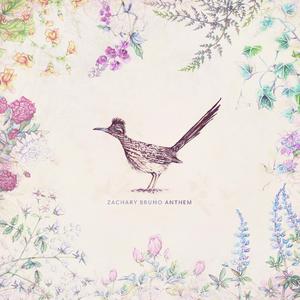 i can still see the road through my tears.