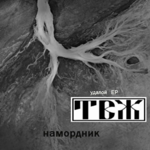 Буду в Пензе - позвоню