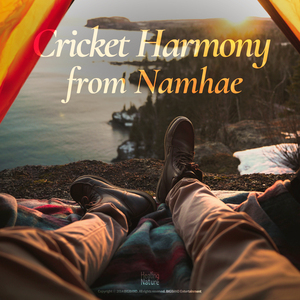 남해에서 들려오는 귀뚜라미 하모니