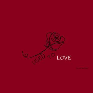Used To Love
