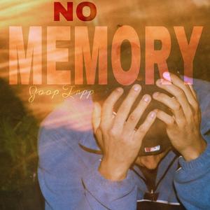 No memory