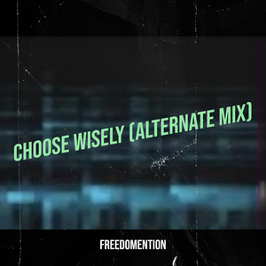 Choose Wisely (Alternate Mix)