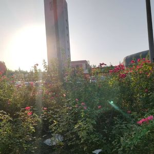 今天吃点什么好