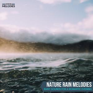 Multi Colored Small Birds