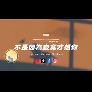 不是因為寂寞才想你/R&B