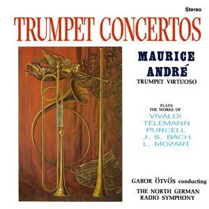 Concerto for Trumpet, Strings and Basso continuo in D Major, TWV 51:D7: III. Grave